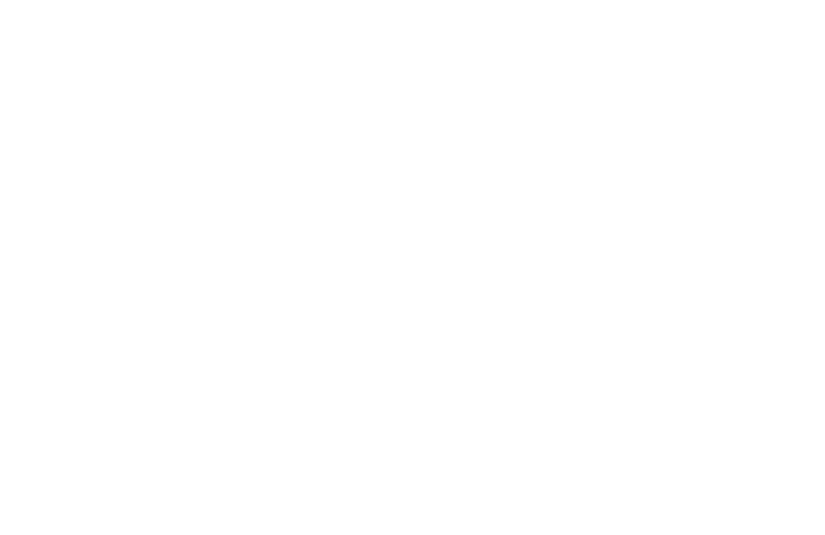 Respetuoso con el medio ambiente 1